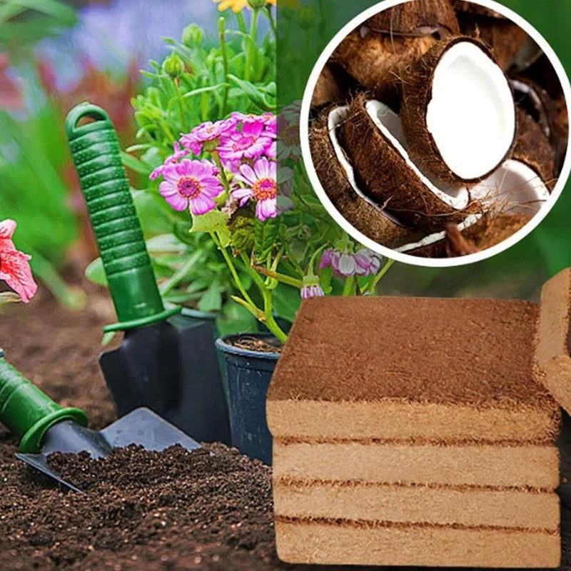 Organic Coconut Fiber For Plants, Organic Coconut Bricks, Natural Organic Compressed Coconut