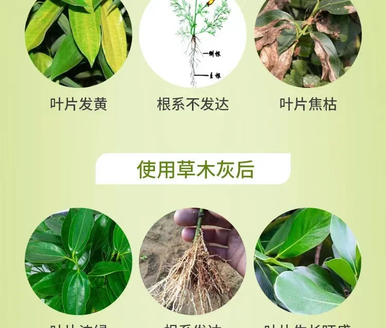 Pure Wood Ash Organic Potassium Fertilizer Natural Farm Manure Insecticidal Disinfection Fruit and Vegetable General Fertilizer