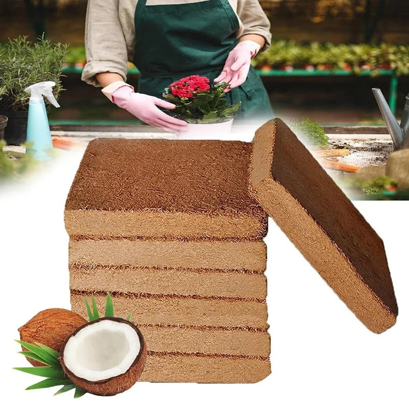 Organic Coconut Fiber For Plants, Organic Coconut Bricks, Natural Organic Compressed Coconut